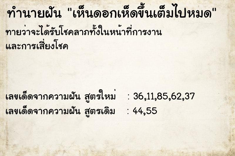 ทำนายฝันทำนายฝันเห็นดอกเห็ดขึ้นเต็มไปหมด