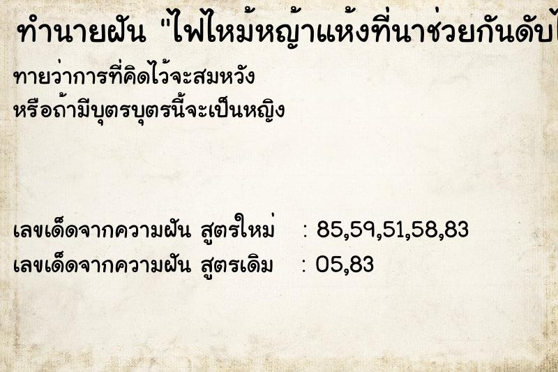 ทำนายฝันทำนายฝันไฟไหม้หญ้าแห้งที่นาช่วยกันดับไฟ