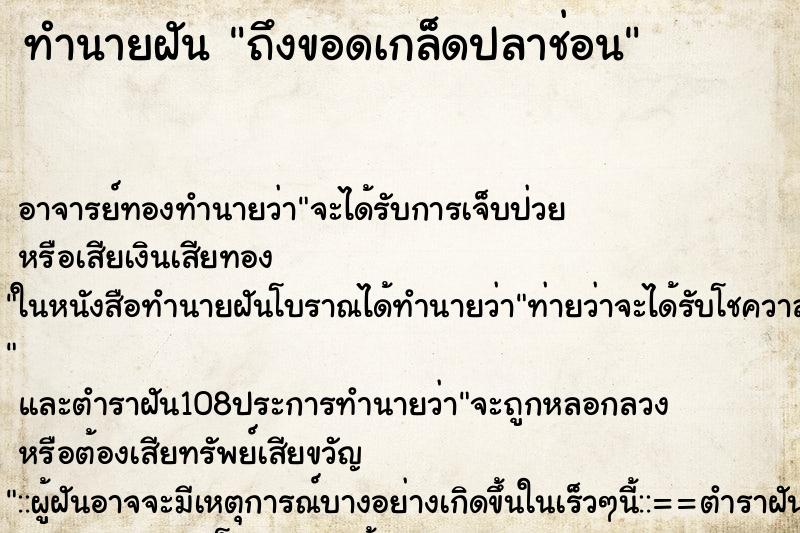 ทำนายฝันถึงขอดเกล็ดปลาช่อน ทำนายฝันทำนายฝันถึงขอดเกล็ดปลาช่อน