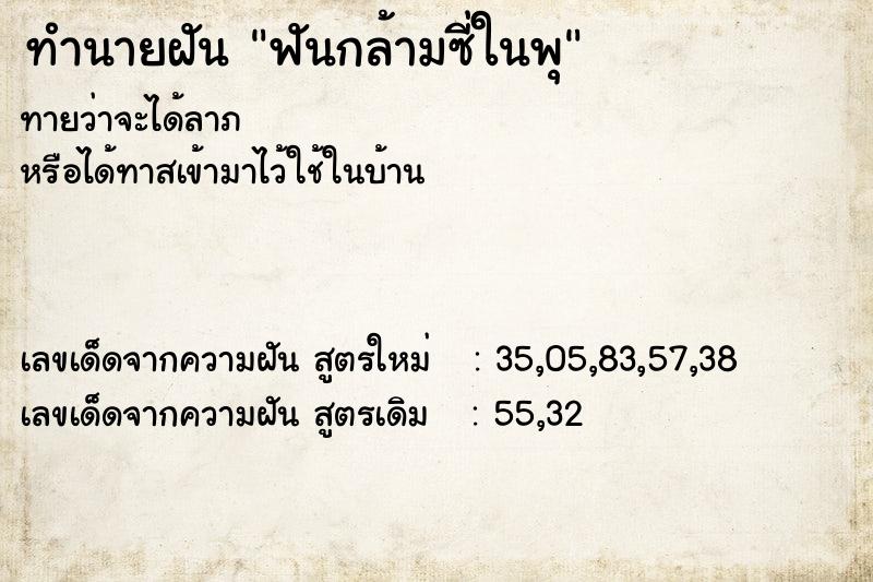 ทำนายฝันทำนายฝันฟันกล้ามซี่ในพุ