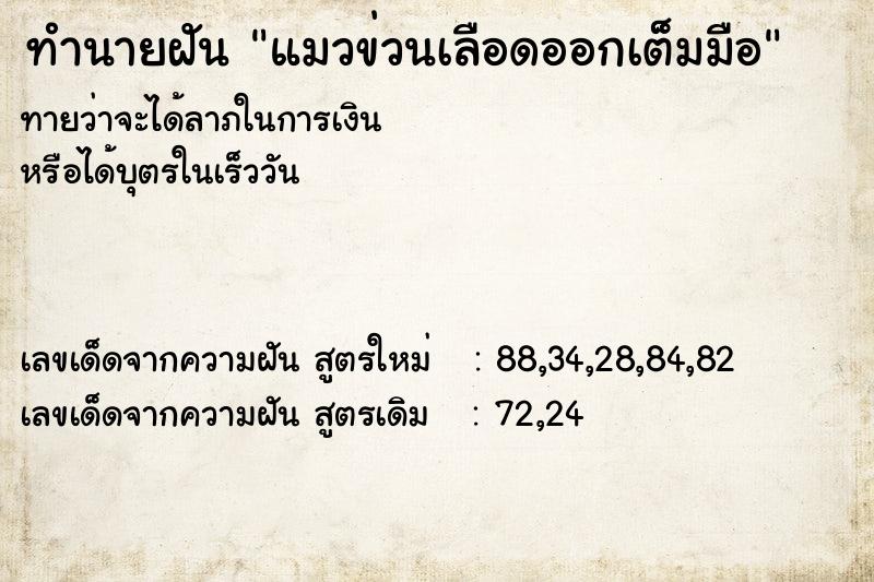 ทำนายฝันแมวข่วนเลือดออกเต็มมือ ทำนายฝันทำนายฝันแมวข่วนเลือดออกเต็มมือ