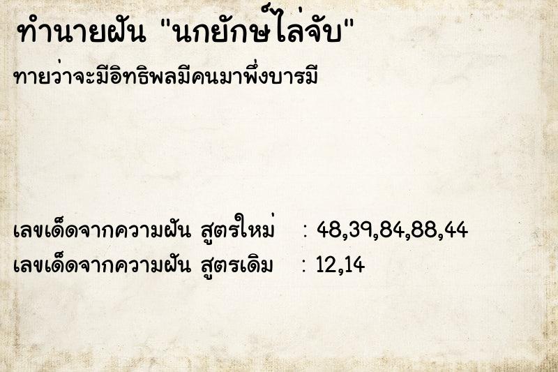 ทำนายฝันนกยักษ์ไล่จับ ทำนายฝันทำนายฝันนกยักษ์ไล่จับ