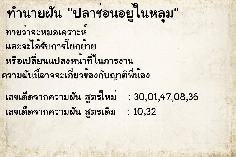 ทำนายฝัน ปลาช่อนอยู่ในหลุม ทำนายฝัน ปลาช่อนอยู่ในหลุม