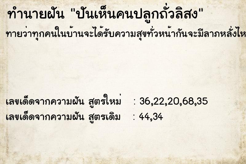 ทำนายฝันทำนายฝันปันเห็นคนปลูกถั่วลิสง
