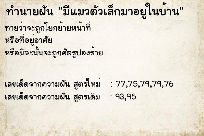 ทำนายฝัน มีแมวตัวเล็กมาอยูในบ้าน ทำนายฝัน มีแมวตัวเล็กมาอยูในบ้าน