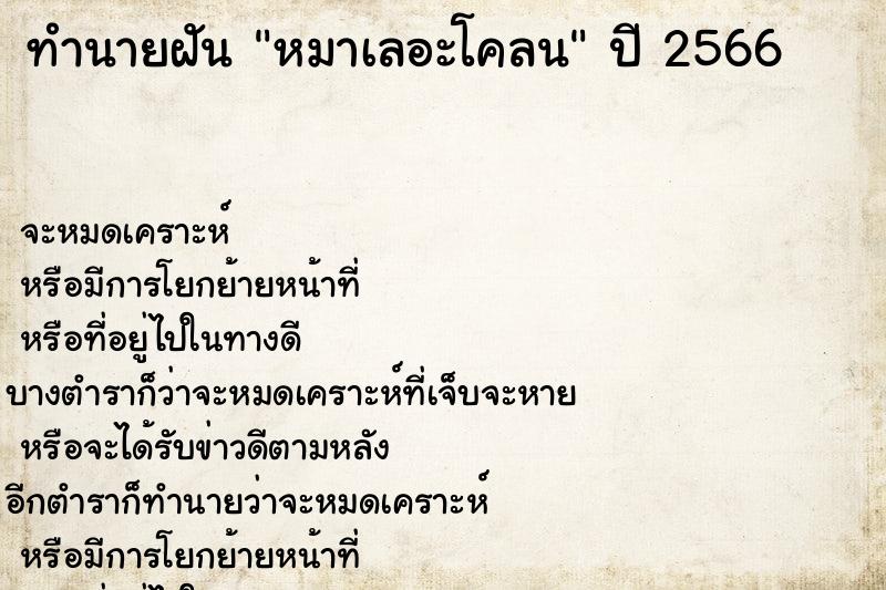 ทำนายฝันหมาเลอะโคลน ทำนายฝันทำนายฝันหมาเลอะโคลน