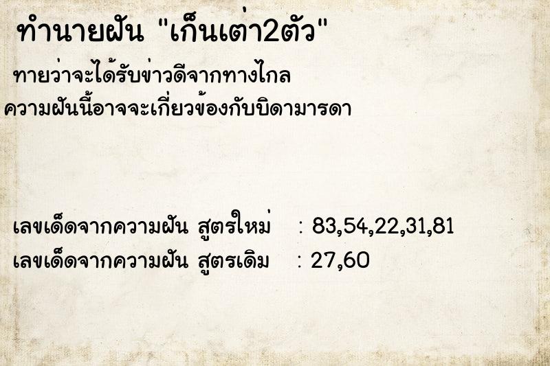 ทำนายฝันเก็นเต่า2ตัว ทำนายฝันทำนายฝันเก็นเต่า2ตัว