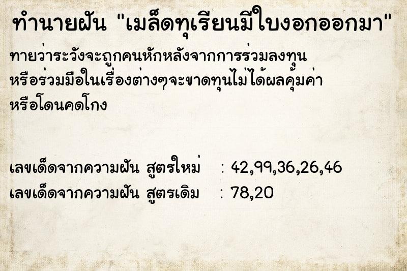 ทำนายฝันเมล็ดทุเรียนมีใบงอกออกมา ทำนายฝันทำนายฝันเมล็ดทุเรียนมีใบงอกออกมา