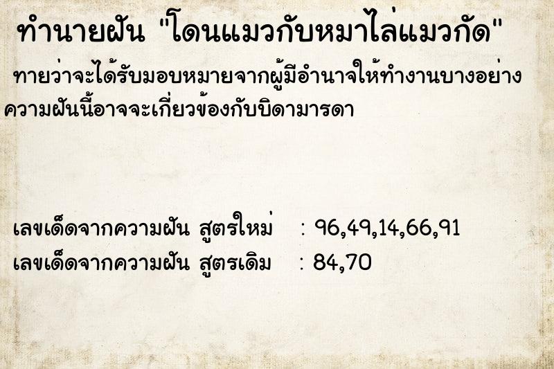 ทำนายฝันทำนายฝันโดนแมวกับหมาไล่แมวกัด