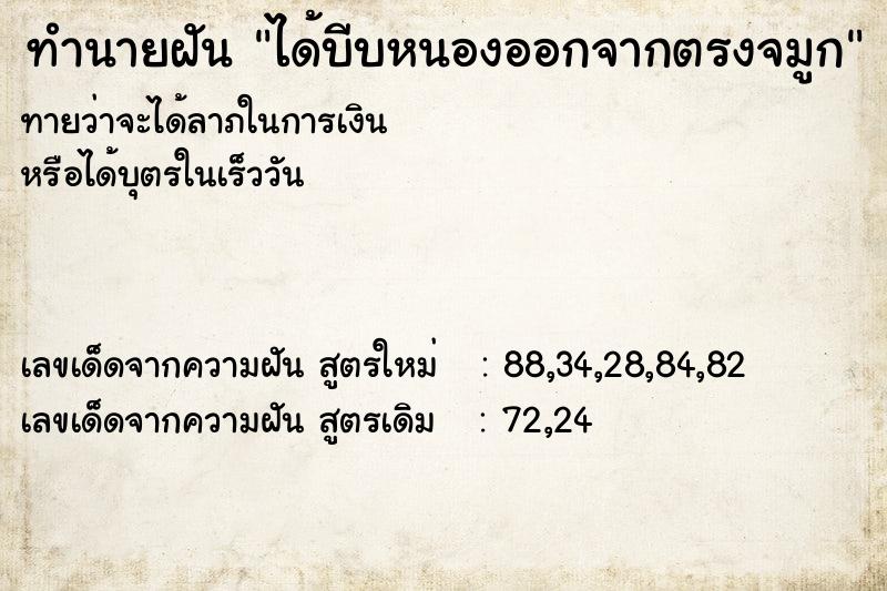 ทำนายฝันทำนายฝันได้บีบหนองออกจากตรงจมูก