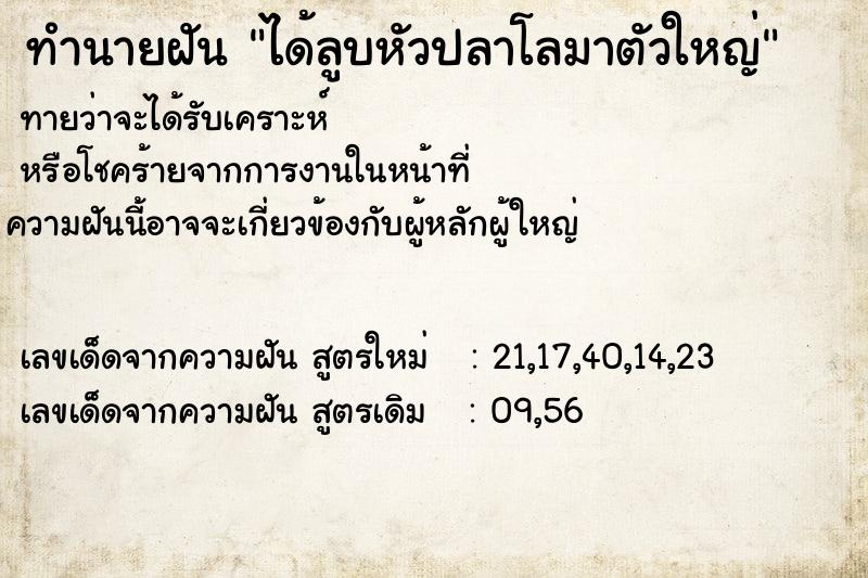ทำนายฝันทำนายฝันได้ลูบหัวปลาโลมาตัวใหญ่