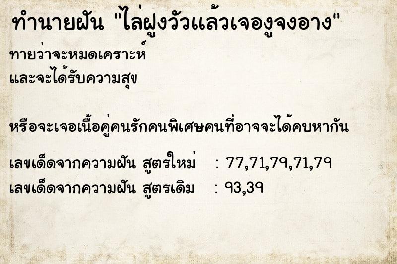 ทำนายฝันทำนายฝันไล่ฝูงวัวเเล้วเจองูจงอาง