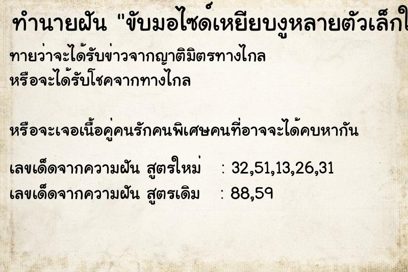 ทำนายฝันขับมอไซด์เหยียบงูหลายตัวเล็กใหญ่ ทำนายฝันทำนายฝันขับมอไซด์เหยียบงูหลายตัวเล็กใหญ่