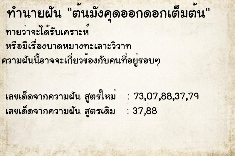ทำนายฝันต้นมังคุดออกดอกเต็มต้น ทำนายฝันทำนายฝันต้นมังคุดออกดอกเต็มต้น