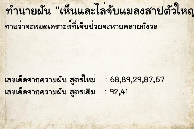 ทำนายฝันทำนายฝันเห็นและไล่จับแมลงสาปตัวใหญ่