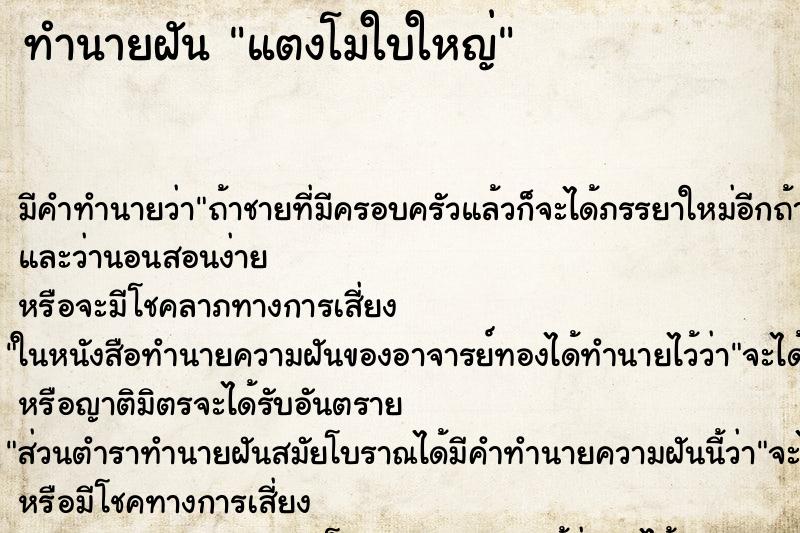 ทำนายฝันทำนายฝันแตงโมใบใหญ่