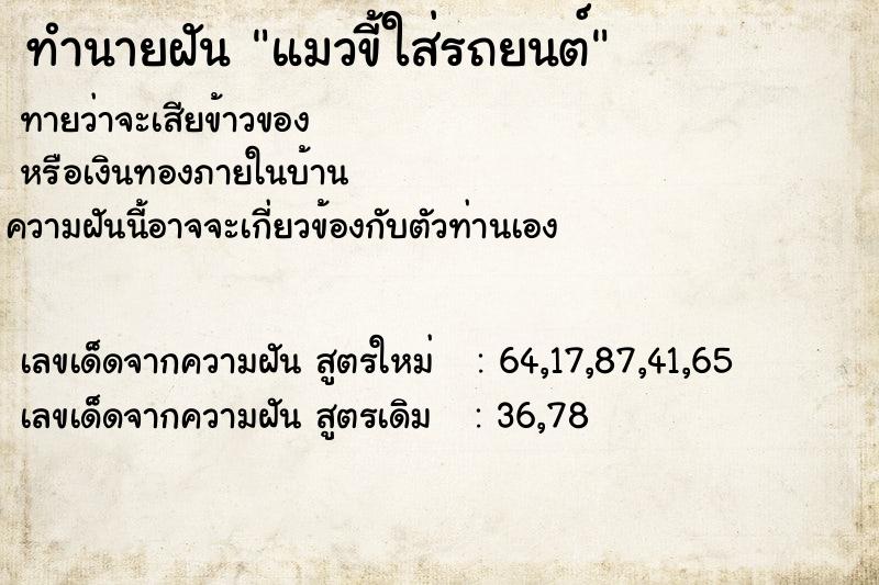 ทำนายฝันแมวขี้ใส่รถยนต์ ทำนายฝันทำนายฝันแมวขี้ใส่รถยนต์