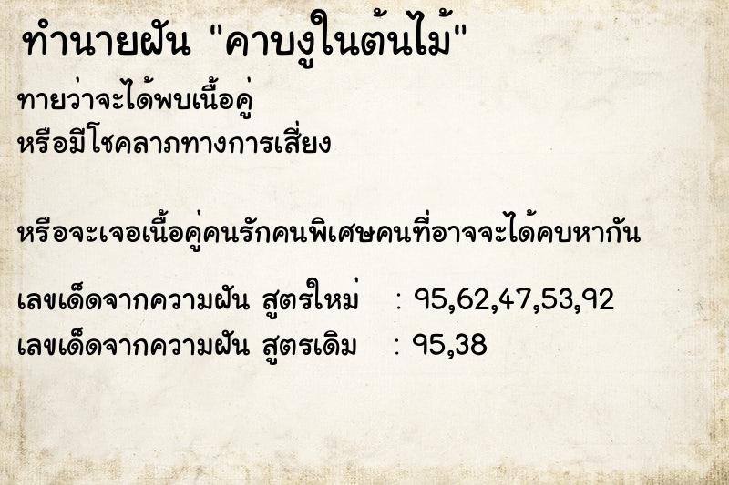 ทำนายฝันทำนายฝันคาบงูในต้นไม้