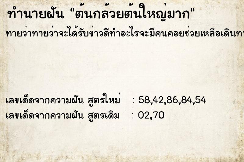 ทำนายฝันต้นกล้วยต้นใหญ่มาก ทำนายฝันทำนายฝันต้นกล้วยต้นใหญ่มาก