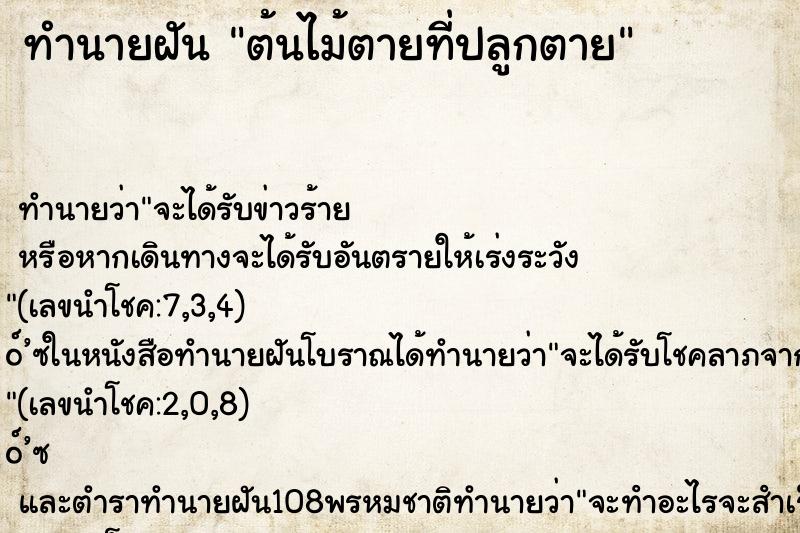 ทำนายฝันต้นไม้ตายที่ปลูกตาย ทำนายฝันทำนายฝันต้นไม้ตายที่ปลูกตาย