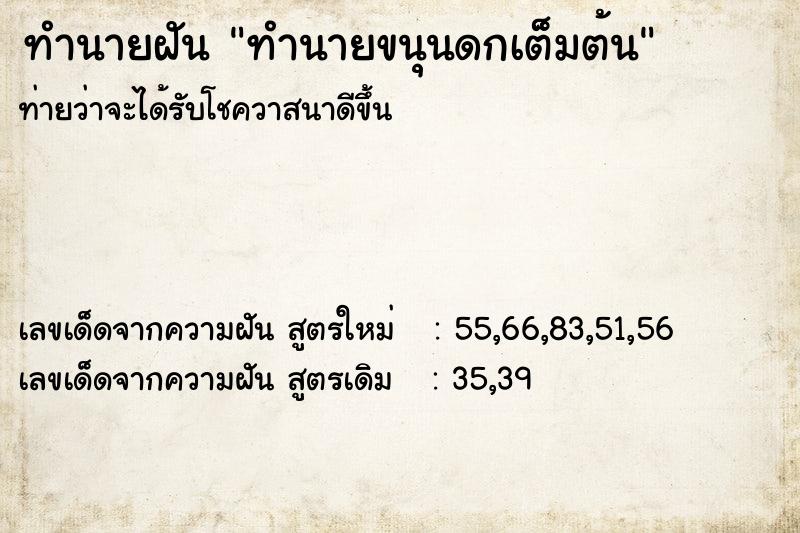 ทำนายฝันทำนายขนุนดกเต็มต้น ทำนายฝันทำนายฝันทำนายขนุนดกเต็มต้น