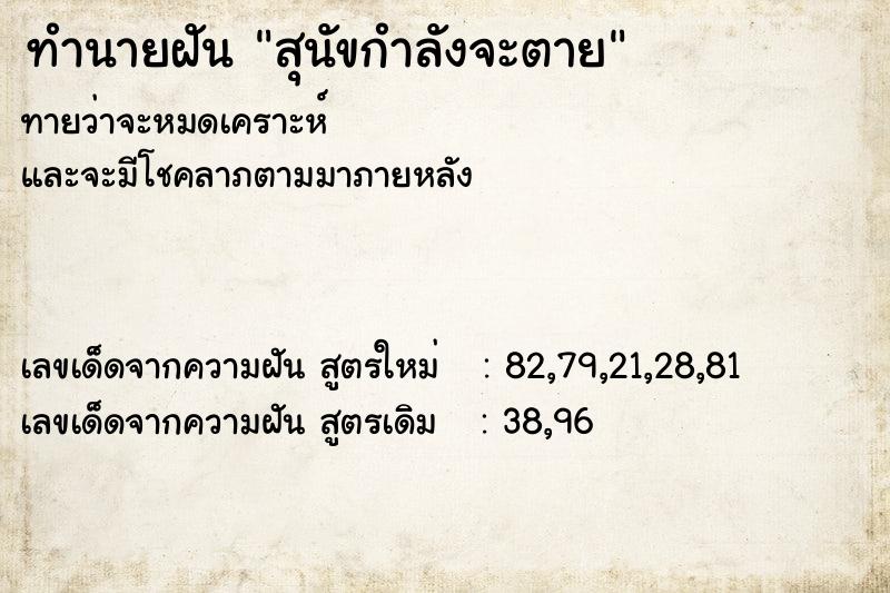 ทำนายฝันสุนัขกำลังจะตาย ทำนายฝันทำนายฝันสุนัขกำลังจะตาย