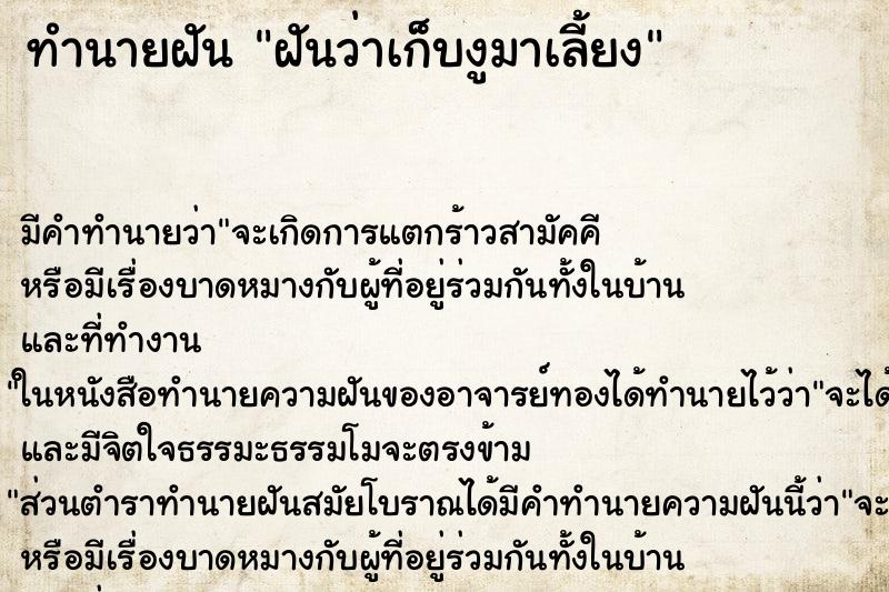 ทำนายฝันฝันว่าเก็บงูมาเลี้ยง ทำนายฝันทำนายฝันฝันว่าเก็บงูมาเลี้ยง