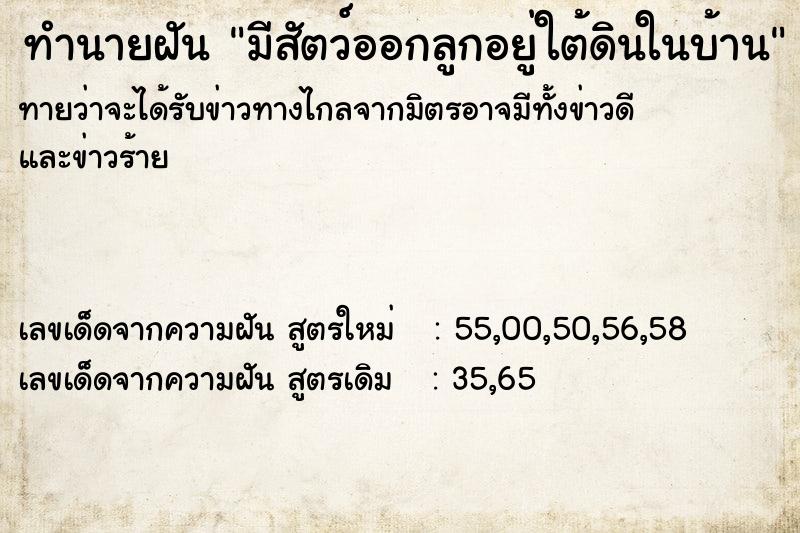 ทำนายฝันทำนายฝันมีสัตว์ออกลูกอยู่ใต้ดินในบ้าน