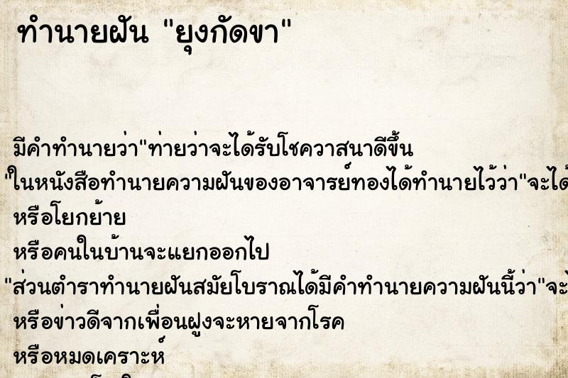 ทำนายฝันยุงกัดขา ทำนายฝันทำนายฝันยุงกัดขา