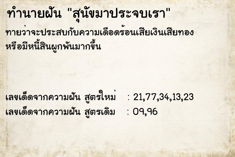 ทำนายฝันทำนายฝันสุนัขมาประจบเรา