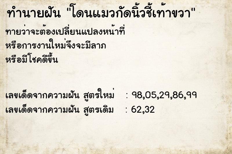 ทำนายฝัน โดนแมวกัดนิ้วชี้เท้าขวา ทำนายฝัน โดนแมวกัดนิ้วชี้เท้าขวา