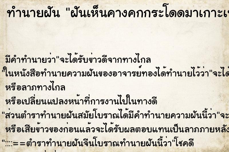 ทำนายฝัน ฝันเห็นคางคกกระโดดมาเกาะเท้า ทำนายฝัน ฝันเห็นคางคกกระโดดมาเกาะเท้า