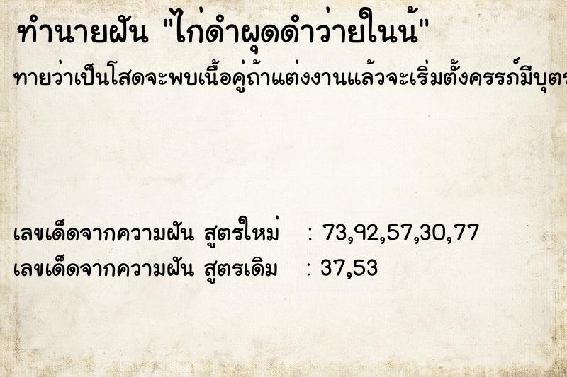 ทำนายฝัน ไก่ดำผุดดำว่ายในน้ ทำนายฝัน ไก่ดำผุดดำว่ายในน้