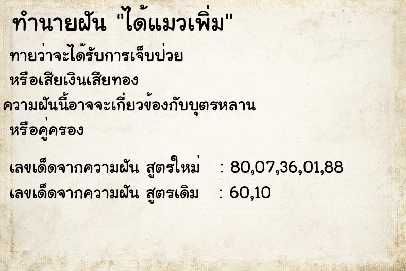 ทำนายฝันได้แมวเพิ่ม ทำนายฝันทำนายฝันได้แมวเพิ่ม