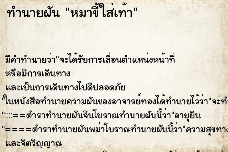 ทำนายฝัน หมาขี้ใส่เท้า ทำนายฝัน หมาขี้ใส่เท้า