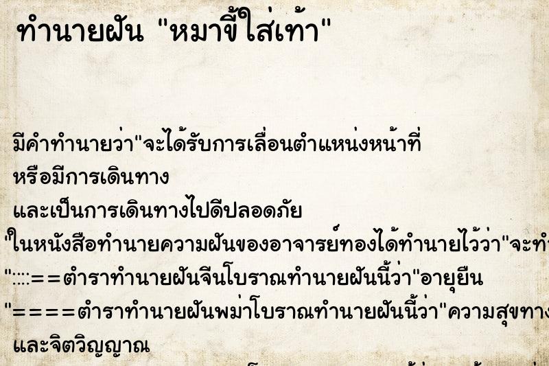 ทำนายฝัน หมาขี้ใส่เท้า ตำราโบราณ แม่นที่สุดในโลก