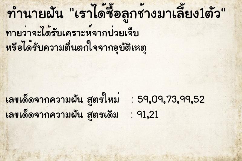 ทำนายฝันทำนายฝันเราได้ซื้อลูกช้างมาเลี้ยง1ตัว