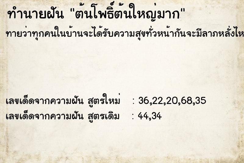 ทำนายฝันต้นโพธิ์ต้นใหญ่มาก ทำนายฝันทำนายฝันต้นโพธิ์ต้นใหญ่มาก
