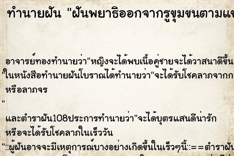 ทำนายฝันฝันพยาธิออกจากรูขุมขนตามแขน ทำนายฝันทำนายฝันฝันพยาธิออกจากรูขุมขนตามแขน
