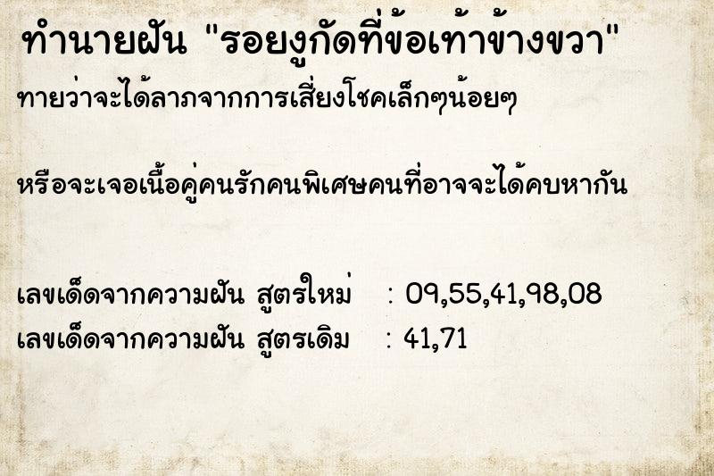 ทำนายฝันทำนายฝันรอยงูกัดที่ข้อเท้าข้างขวา
