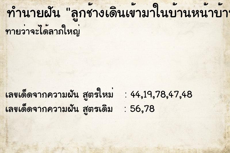 ทำนายฝันทำนายฝันลูกช้างเดินเข้ามาในบ้านหน้าบ้านมีม้ามา1ตัว