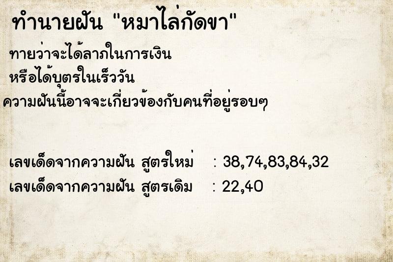 ทำนายฝัน หมาไล่กัดขา