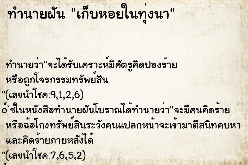 ทำนายฝันทำนายฝันเก็บหอยในทุ่งนา