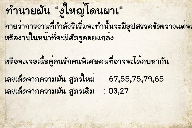 ทำนายฝัน งูใหญ่โดนผาà ตำราโบราณ แม่นที่สุดในโลก