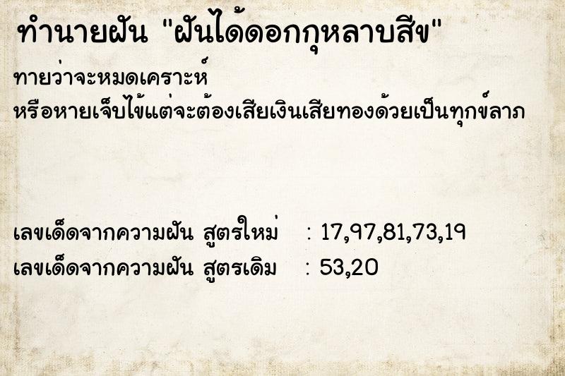 ทำนายฝันฝันได้ดอกกุหลาบสีข ทำนายฝันทำนายฝันฝันได้ดอกกุหลาบสีข