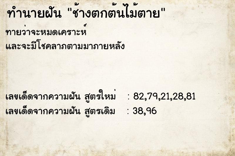 ทำนายฝันช้างตกต้นไม้ตาย ทำนายฝันทำนายฝันช้างตกต้นไม้ตาย