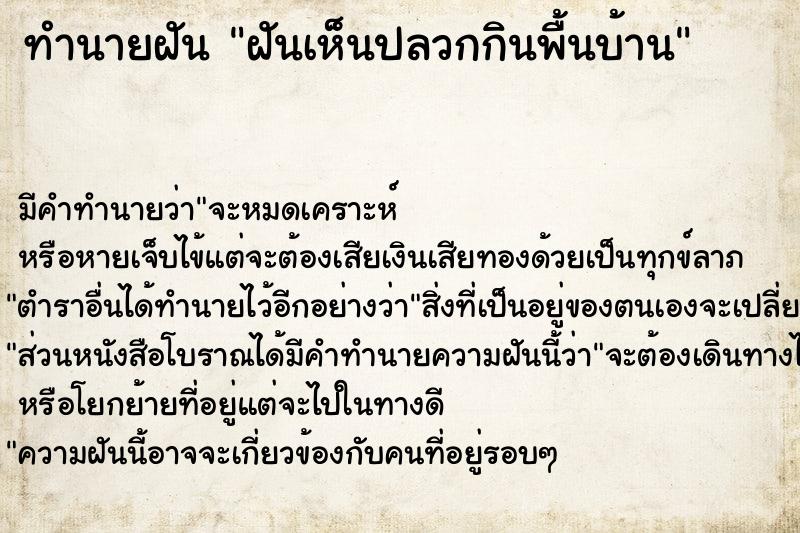 ทำนายฝัน ฝันเห็นปลวกกินพื้นบ้าน ทำนายฝัน ฝันเห็นปลวกกินพื้นบ้าน