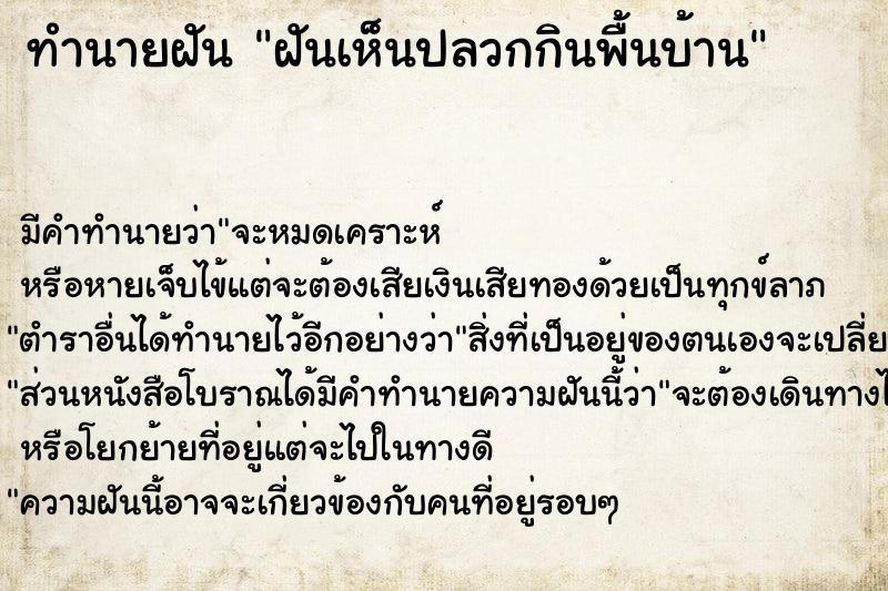 ทำนายฝัน ฝันเห็นปลวกกินพื้นบ้าน ตำราโบราณ แม่นที่สุดในโลก