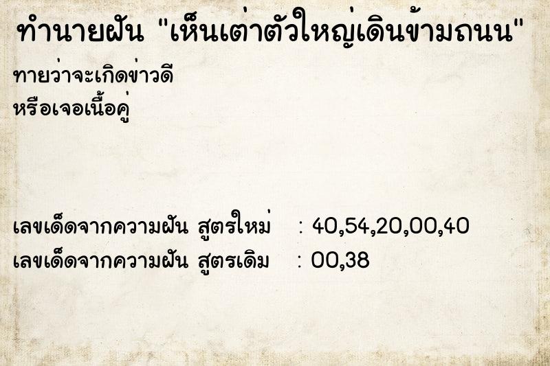 ทำนายฝันทำนายฝันเห็นเต่าตัวใหญ่เดินข้ามถนน