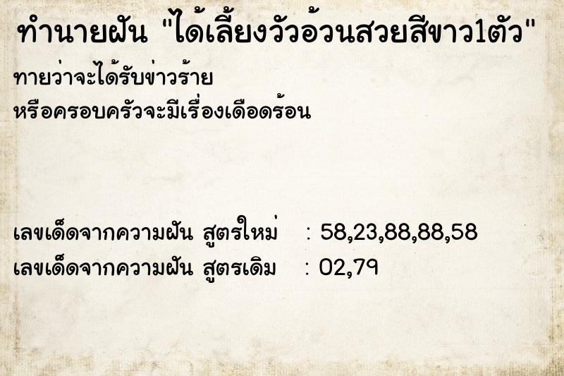 ทำนายฝันทำนายฝันได้เลี้ยงวัวอ้วนสวยสีขาว1ตัว